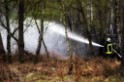 Waldbrand Wahner Heide Troisdorf Eisenweg P103